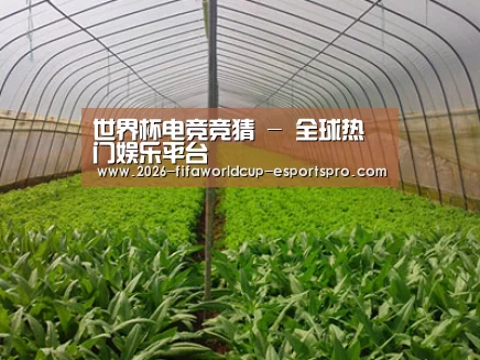 种植基地四