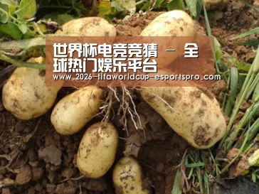 种植基地六