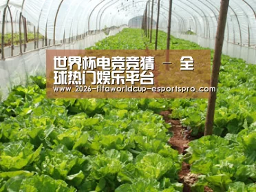 种植基地五